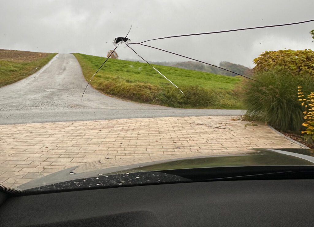 Steinschlag Riss in der Scheibe Service